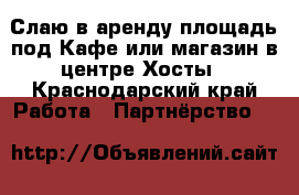 Слаю в аренду площадь под Кафе или магазин в центре Хосты - Краснодарский край Работа » Партнёрство   